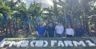 Fyffes farm1