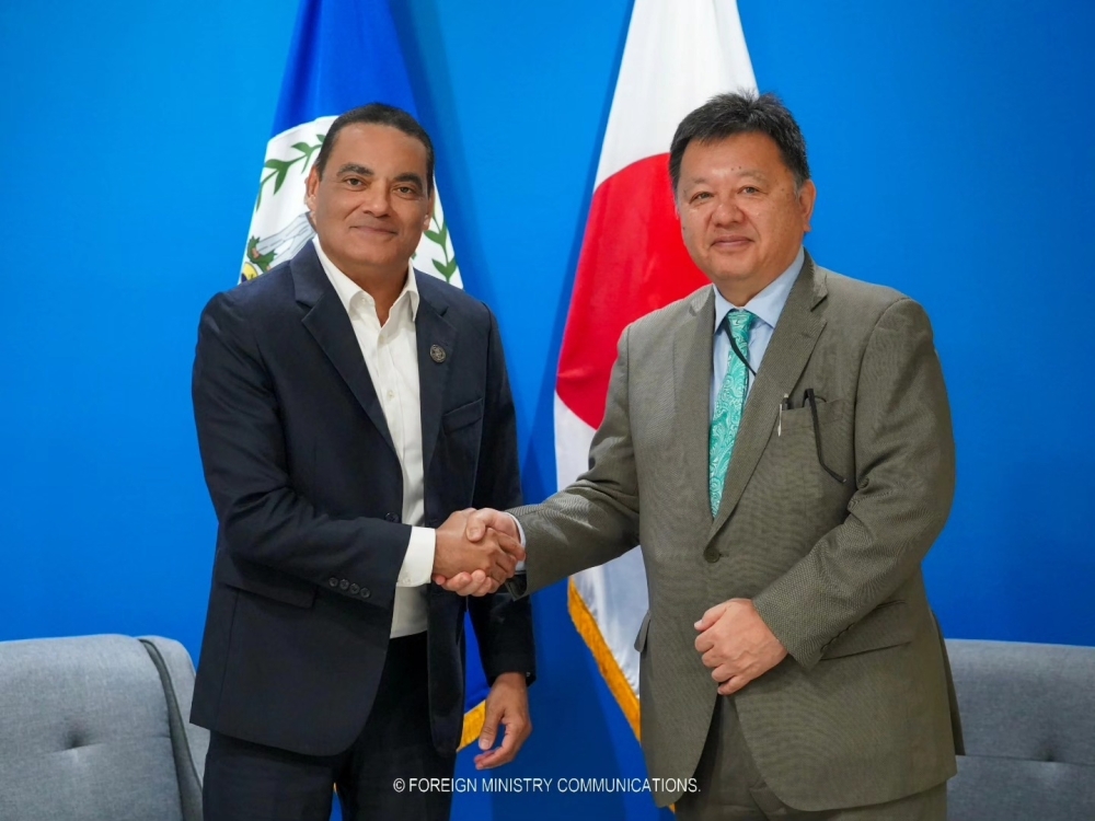 Courtesy Call on Foreign Minister Francis Fonseca